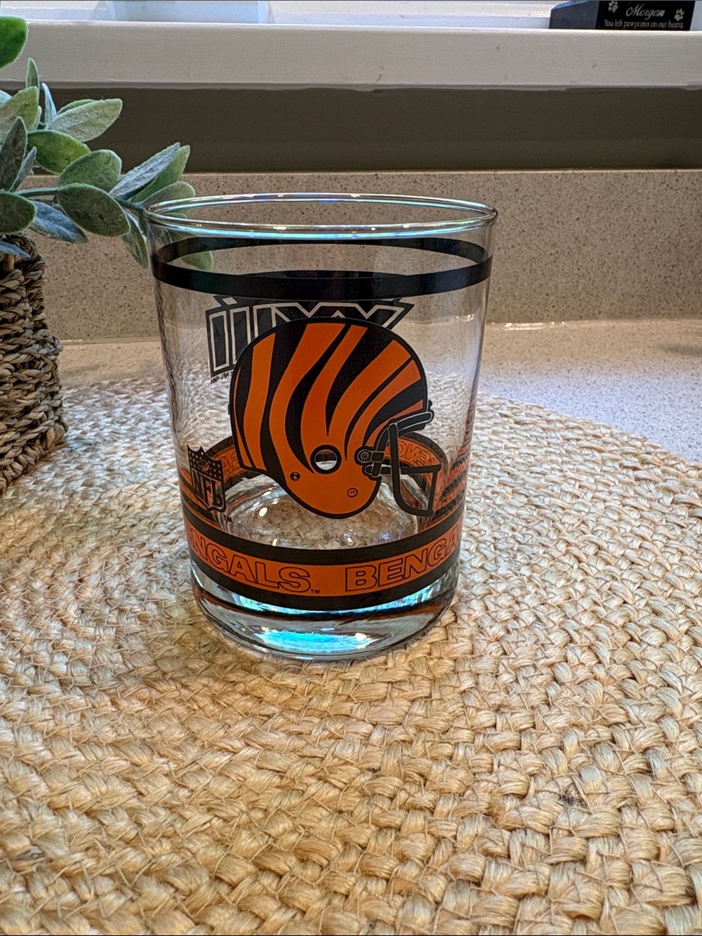 Vintage NFL Cincinnati Bengals Super Bowl XXIII Glass